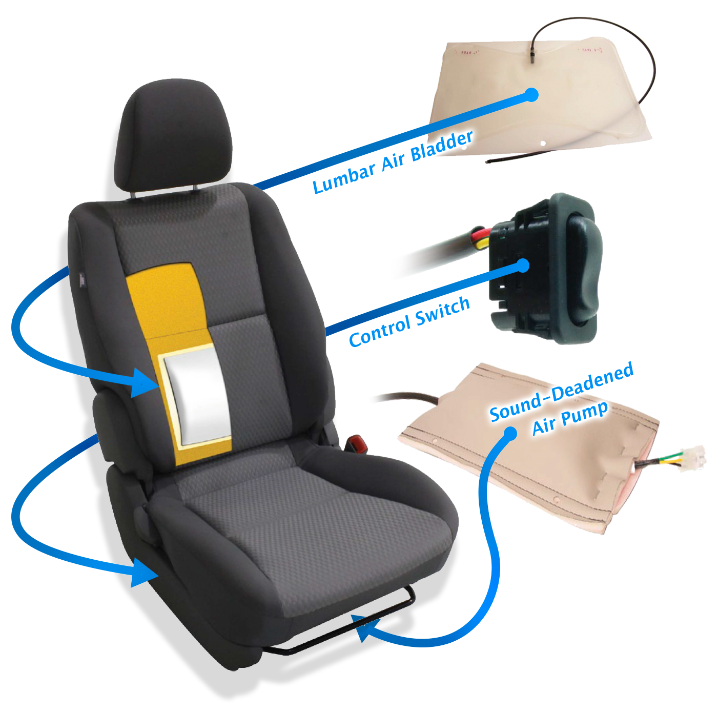 What is lumbar support in a car?